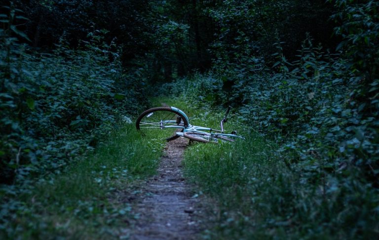 Abandoned bicycle in woods