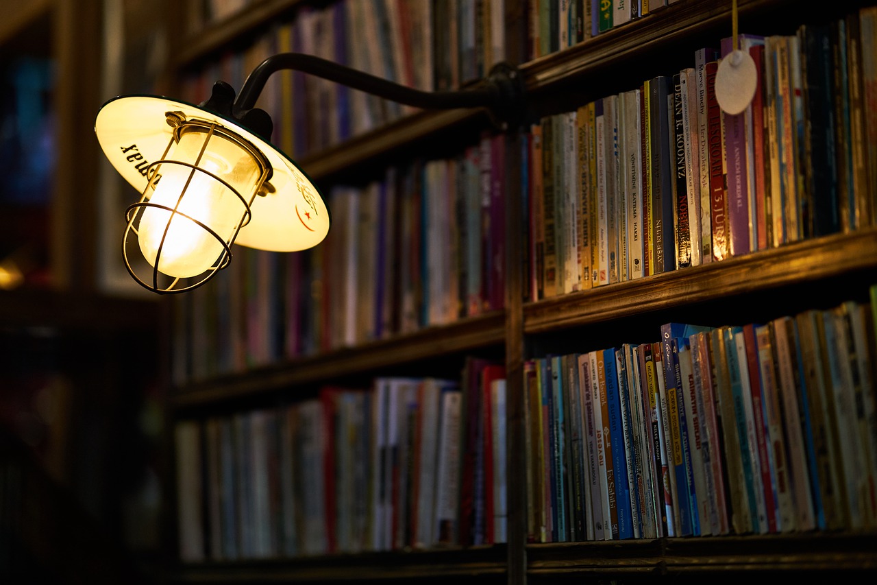 Bookshelf light