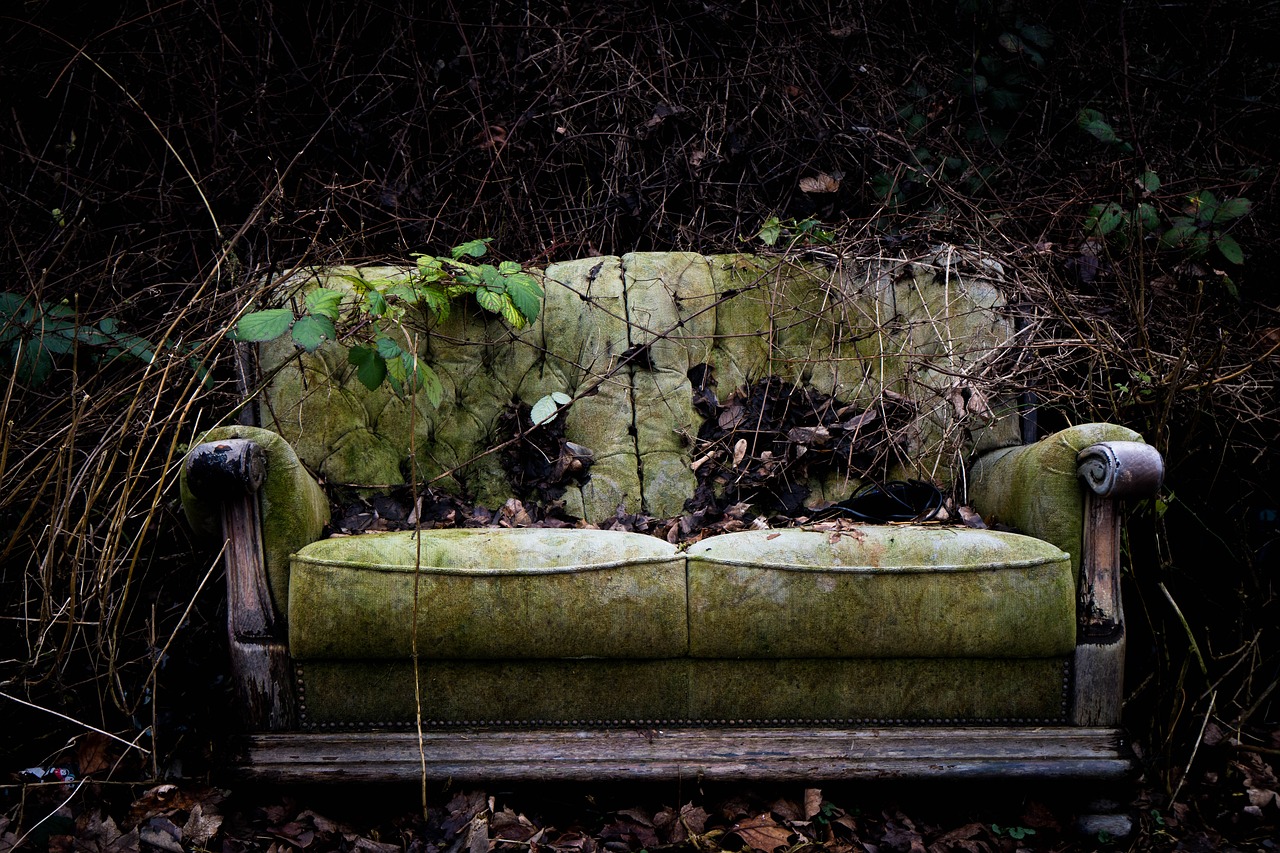 Sofa covered in leaves and dirt